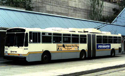 메트로 버스(Metro Bus)